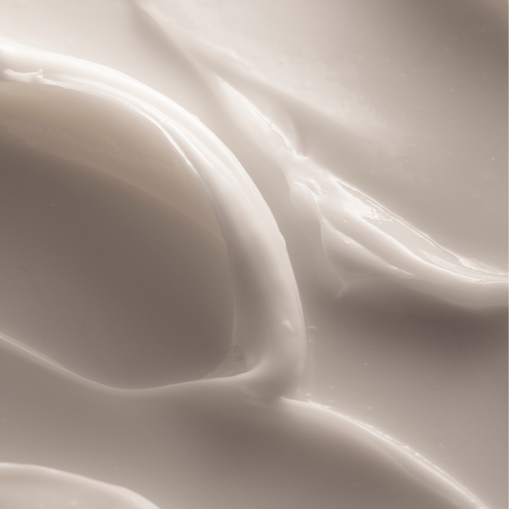 2_1a765159-ef75-48e1-8a48-cd6c55d5e1e8.png