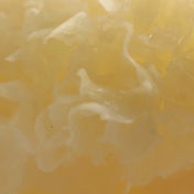 Jelly Drops™ Kakadu Plum + Mushroom Hyaluronic Acid Serum